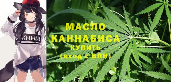 шишки Арсеньев