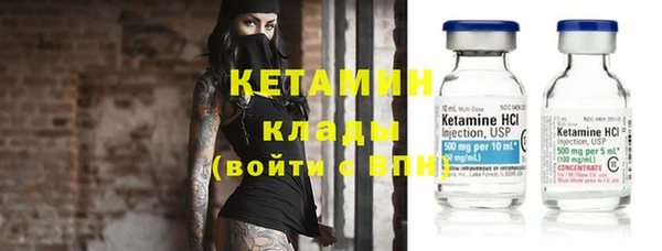 крисы Алексин