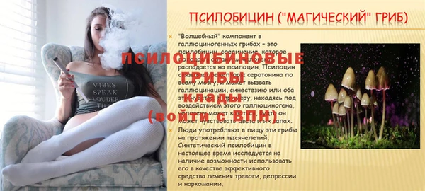 тгк Алзамай