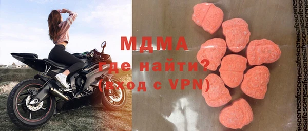 шишки Арсеньев